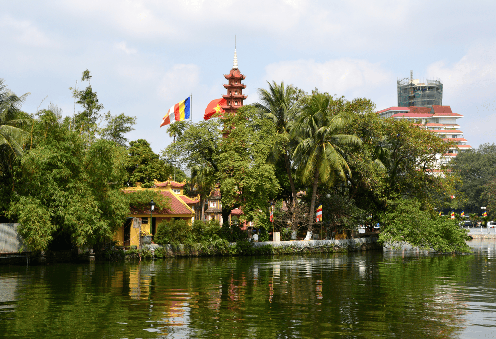 The sacred Bodhi tree at Tran Quoc Pagoda, a gift from India, symbolizes wisdom and peace (Source: Canva)
